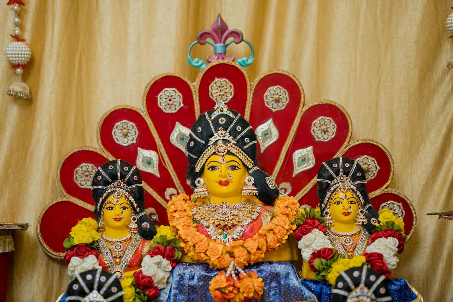 DSC05863cmp