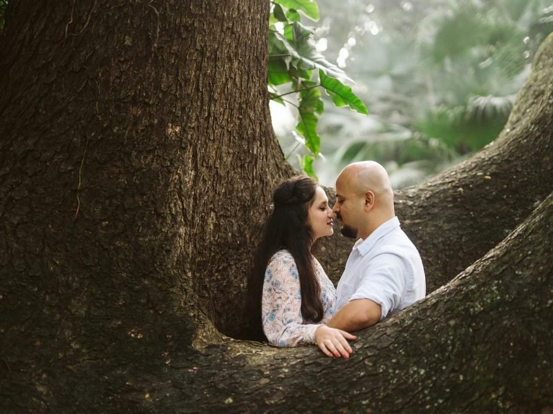 Bride and groom posing inside dark brown tree in greenery mountain location during daytime